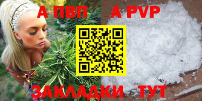 спиды Новозыбков
