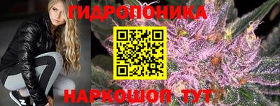 гидра Новодвинск