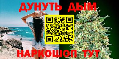 гидра Новодвинск