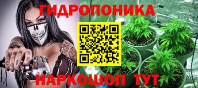 спиды Новозыбков