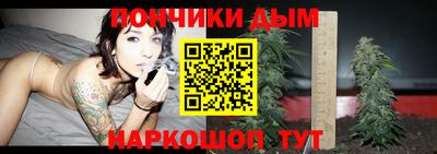 гидра Новодвинск