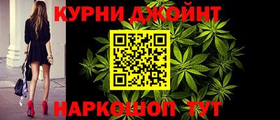 гидра Новодвинск