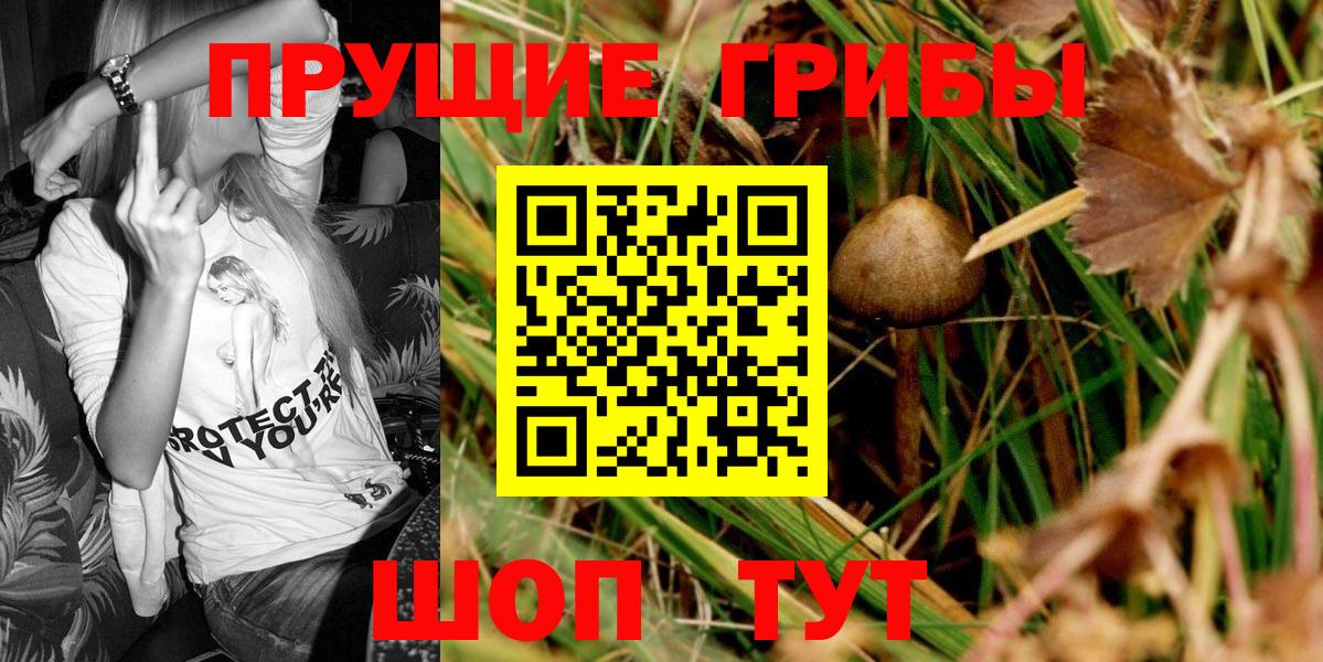 Уварово  Галлюциногенные грибы MAGIC MUSHROOMS  Вход с VPN 